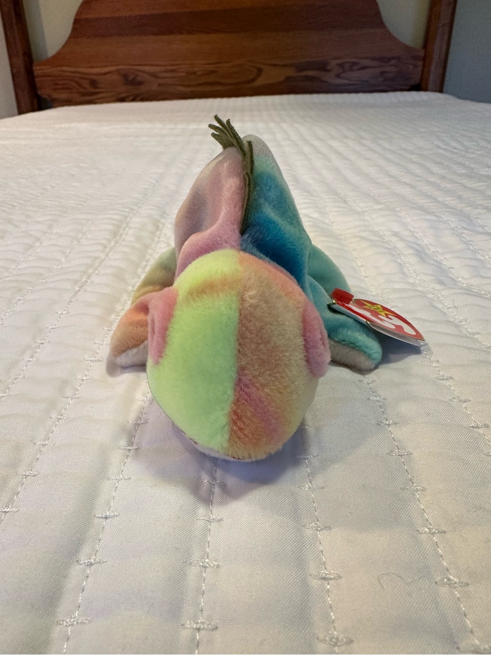 Iggy the Iguana Beanie Baby